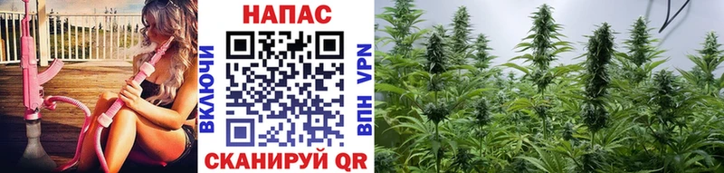 Бошки Шишки Bruce Banner Галич